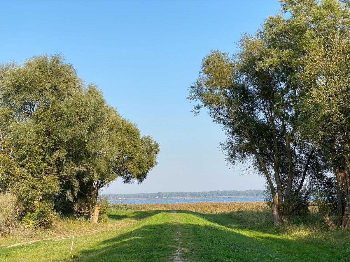 Auf Ruegen Mit Boddenblick *