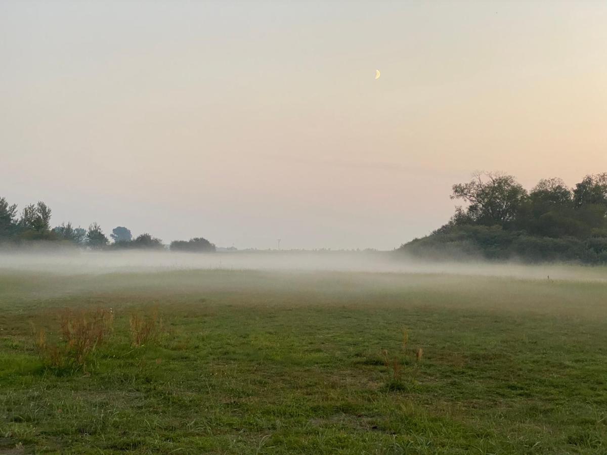 Auf Ruegen Mit Boddenblick *
