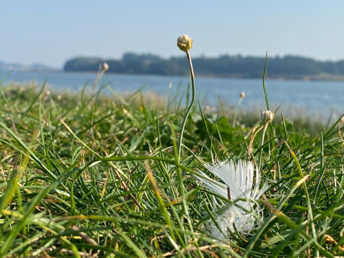 Auf Ruegen Mit Boddenblick