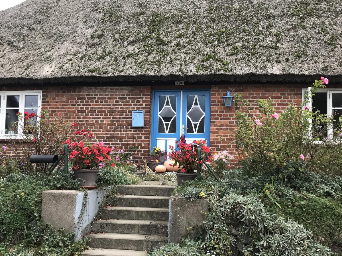 Apartment Auf Ruegen Mit Boddenblick *